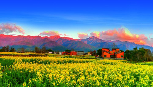 1481535813338506.jpg 這片海4.jpg