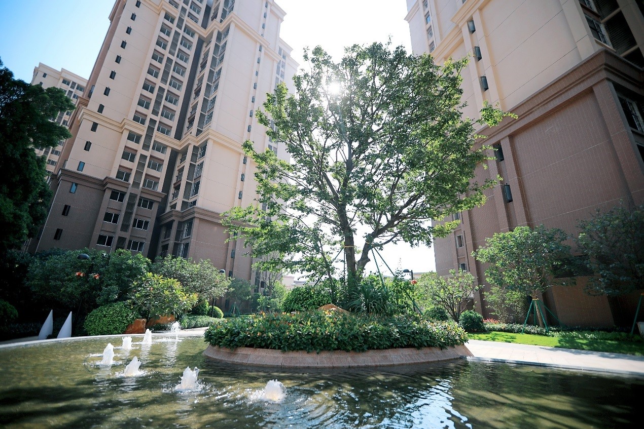 1578389390159416.jpg 1.jpg