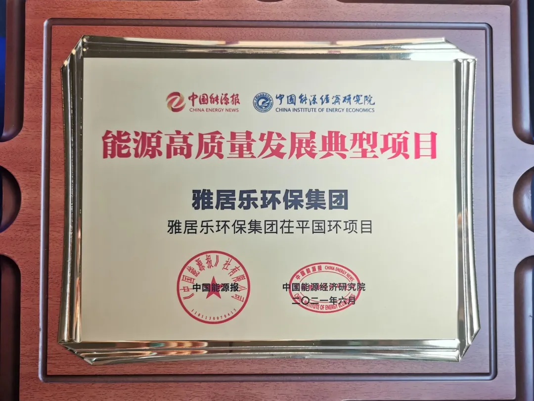 3、茌平國環(huán)能源獎.png